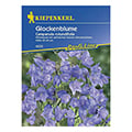 Glockenblume