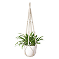 Hanging plant