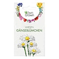 Gänseblümchensamen