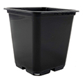 Plant pot