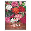 geranium