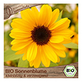 perennial sunflower