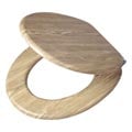 lavatory seat