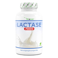 Compressa di lattasi
