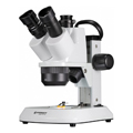 Stereomikroskop