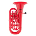 Tenorhorn