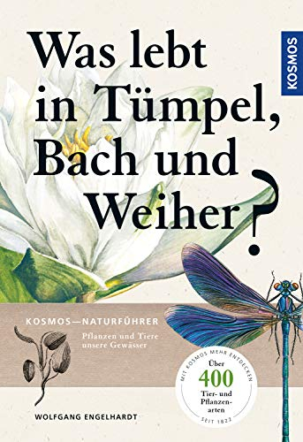 Was lebt in Tümpel, Bach und Weiher?: Pflanzen und Tiere unserer Gewässer
