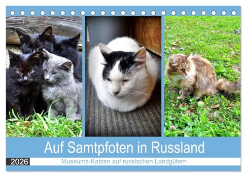 Auf Samtpfoten in Russland - Museums-Katzen auf russischen Landgütern (Tischkalender 2026 DIN A5 quer), CALVENDO Monatskalender: Katzen auf den ... russischer Dichter (CALVENDO Tiere)