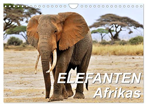 Elefanten Afrikas (Wandkalender 2026 DIN A4 quer), CALVENDO Monatskalender: Die Dickhäuter Afrikas erscheinen mal imposant und mächtig, mal sind sie zärtlich und fürsorglich. (CALVENDO Tiere)