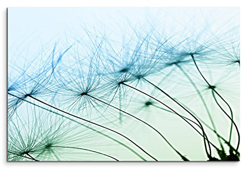 120x80cm Leinwandbild auf Keilrahmen Pusteblumen Nahaufnahme abstrakt Wandbild auf Leinwand als Panorama