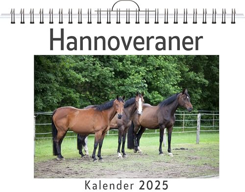 Hannoveraner - (Wandkalender 2025, Kalender DIN A4 quer, Monatskalender im Querformat mit Kalendarium, das perfekte Geschenk)