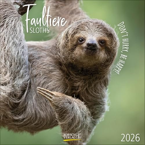 Faultier 2025: Broschürenkalender mit Ferienterminen und lustigen Faultieren. Format: 30 x 30 cm