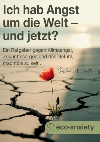 Klimaangst / Ich hab Angst um die Welt und jetzt?: Ein Ratgeber gegen Klimaangst, Zukunftssorgen und das Gefühl, machtlos zu sein