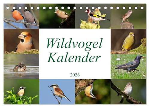 Wildvogelkalender (Tischkalender 2026 DIN A5 quer), CALVENDO Monatskalender: Das ideale Geschenk für Vogelliebhaber (CALVENDO Tiere)