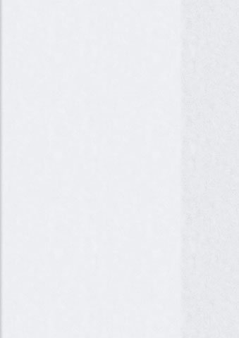 papieto Hefthülle/Heftschoner - Starke Folie (A5 / 14,8 x 21,0 cm) Farbe FREI WÄHLBAR (Transparent)