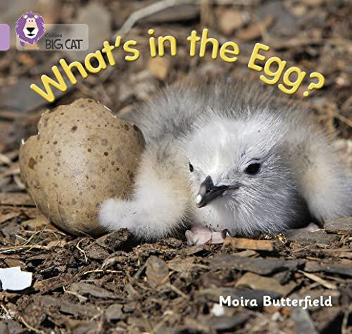 What’s in the Egg?: Band 00/Lilac (Collins Big Cat)