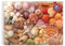Vibrant Seashells Puzzle: 1000 Pieces