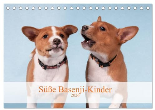 Süße Basenji-Kinder (Tischkalender 2026 DIN A5 quer), CALVENDO Monatskalender: Entzückende Basenji-Welpen, Monat für Monat (CALVENDO Tiere)