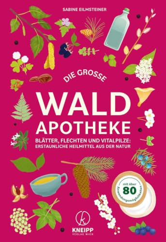 Die große Waldapotheke: Blätter, Flechten und Vitalpilze: Erstaunliche Heilmittel aus der Natur