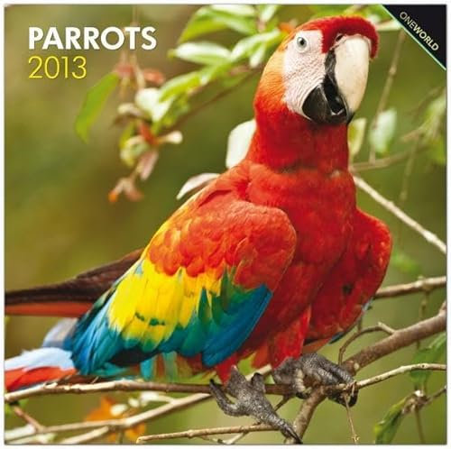 Parrots 2013: Papageien (Wall-Kalender)