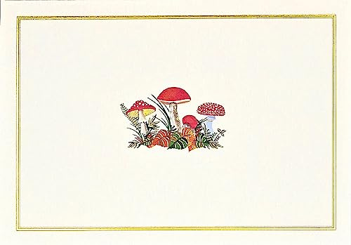 Mushrooms Note Cards (Stationery, Boxed Cards)