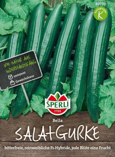 Sperli Salatgurke Bella