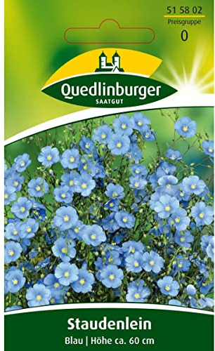 Lein, Blau, Linum perenne, ca. 50 Samen