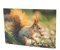 3 D Ansichtskarte Eichhörnchen, Postkarte Wackelkarte Hologrammkarte Tiere Tier