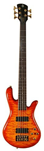 Spector Legend 5 Guitare basse personnalisée (5 cordes, Amberburst)