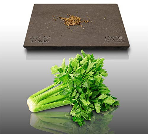 100 graines Aromatiques à semer - Le Grenier d'Abondance - CÉLERI à couper - Apium graveolens