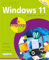 Windows 11 in easy steps: Covers the Windows 11 2024 Update