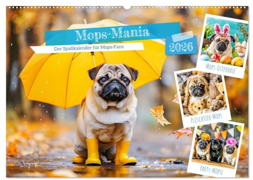 Mops-Mania - Der Spaßkalender für Mops-Fans (Wandkalender 2026 DIN A2 quer), CALVENDO Monatskalender: Lustige Bilder vom Mops-Hund für gute Laune (CALVENDO Tiere)