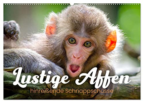 Lustige Affen - hinreißende Schnappschüsse (Wandkalender 2026 DIN A2 quer), CALVENDO Monatskalender: Unterhaltsame Aufnahmen. (CALVENDO Tiere)