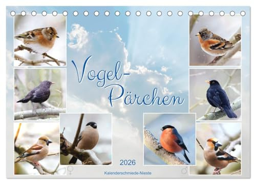 Vogel-Pärchen (Tischkalender 2026 DIN A5 quer), CALVENDO Monatskalender: Vogelarten, bei denen sich Männchen und Weibchen optisch unterscheiden (CALVENDO Tiere)