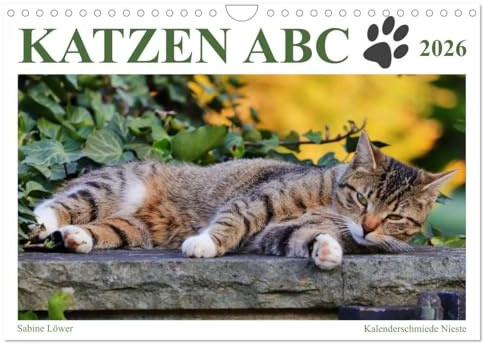 Katzen ABC (Wandkalender 2026 DIN A4 quer), CALVENDO Monatskalender: Katzenwissen humorvoll aufbereitet (CALVENDO Tiere)