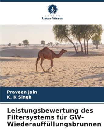 Leistungsbewertung des Filtersystems für GW-Wiederauffüllungsbrunnen