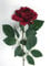 Artificial Silk Medium Rose single stem 65 cm, red, Medium by JustArtificial