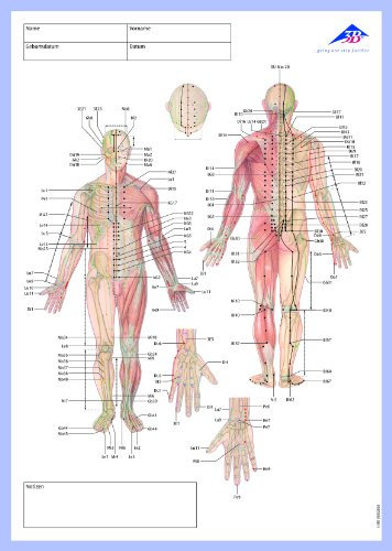 3B Scientific Akupunktur-Meridian-Notizblock, Deutsch
