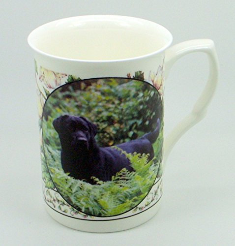 The Plate Collectors Shop Black Labrador FINE Bone China 10 0Z Mug ~ Hand Decorated in Stoke ON Trent