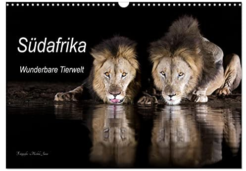 Südafrika wunderbare Tierwelt (Wandkalender 2026 DIN A3 quer), CALVENDO Monatskalender: Einblick in die Tierwelt Südafrikas (CALVENDO Natur)
