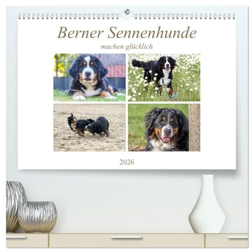 Berner Sennenhunde machen glücklich (hochwertiger Premium Wandkalender 2026 DIN A2 quer), Kunstdruck in Hochglanz: Sennenhund Rasse (CALVENDO Tiere)