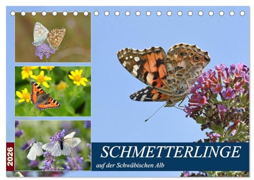 Schmetterlinge auf der Schwäbischen Alb (Tischkalender 2026 DIN A5 quer), CALVENDO Monatskalender: Wunderschöne Falter auf herrlichen Blüten (CALVENDO Tiere)