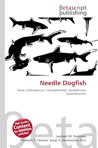 Needle Dogfish: Shark, Centrophorus, Centrophoridae, Squaliformes, Elasmobranchii