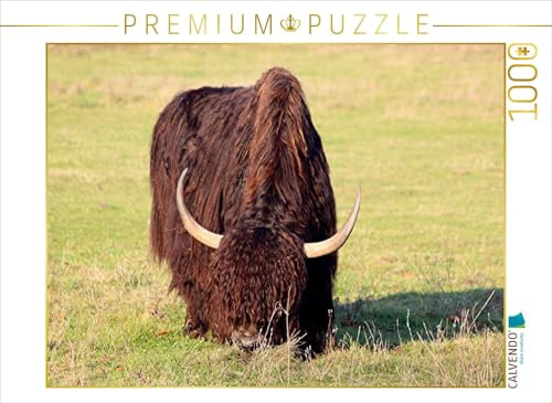 CALVENDO Puzzle Yak Bulle | 1000 Teile Lege-Größe 64 x 48 cm Foto-Puzzle für glückliche Stunden