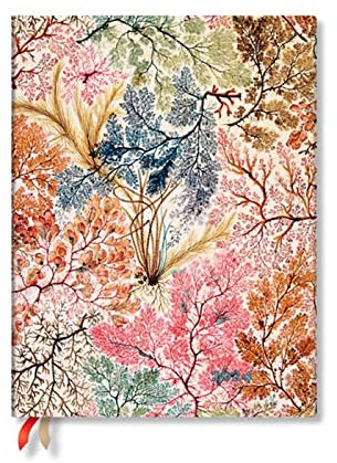 Paperblanks Flexi 12-Monatskalender 2024 Anemone, Vertikal - Ultra (230 x 180), Englisch (Feiertage International)