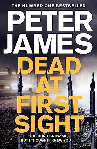 Dead at First Sight: A Sinister Crime Thriller: 15 (Roy Grace, 15)