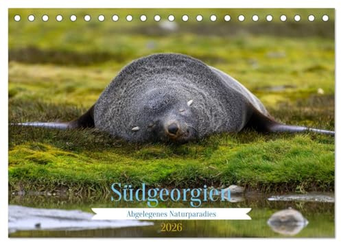Südgeorgien - Abgelegenes Naturparadies (Tischkalender 2026 DIN A5 quer), CALVENDO Monatskalender: Wunderschöne Aufnahmen vom südlichen Ende der Welt (CALVENDO Natur)