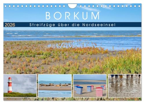 Borkum: Streifzüge über die Nordseeinsel (Wandkalender 2026 DIN A4 quer), CALVENDO Monatskalender: Begegnungen mit der wunderschönen, facettenreichen Borkumer Natur (CALVENDO Natur)