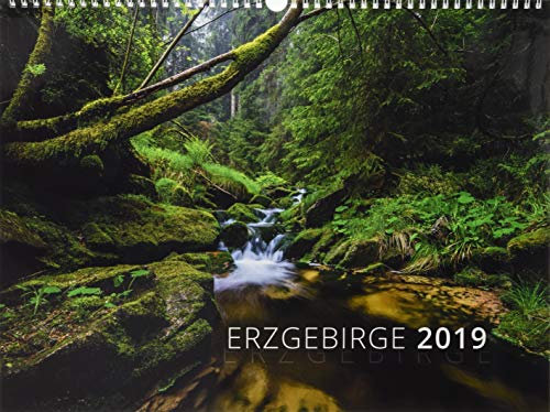 Erzgebirge 2019
