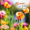 Blumen vom Feld 2024: Kalender 2024 (Artwork Edition)